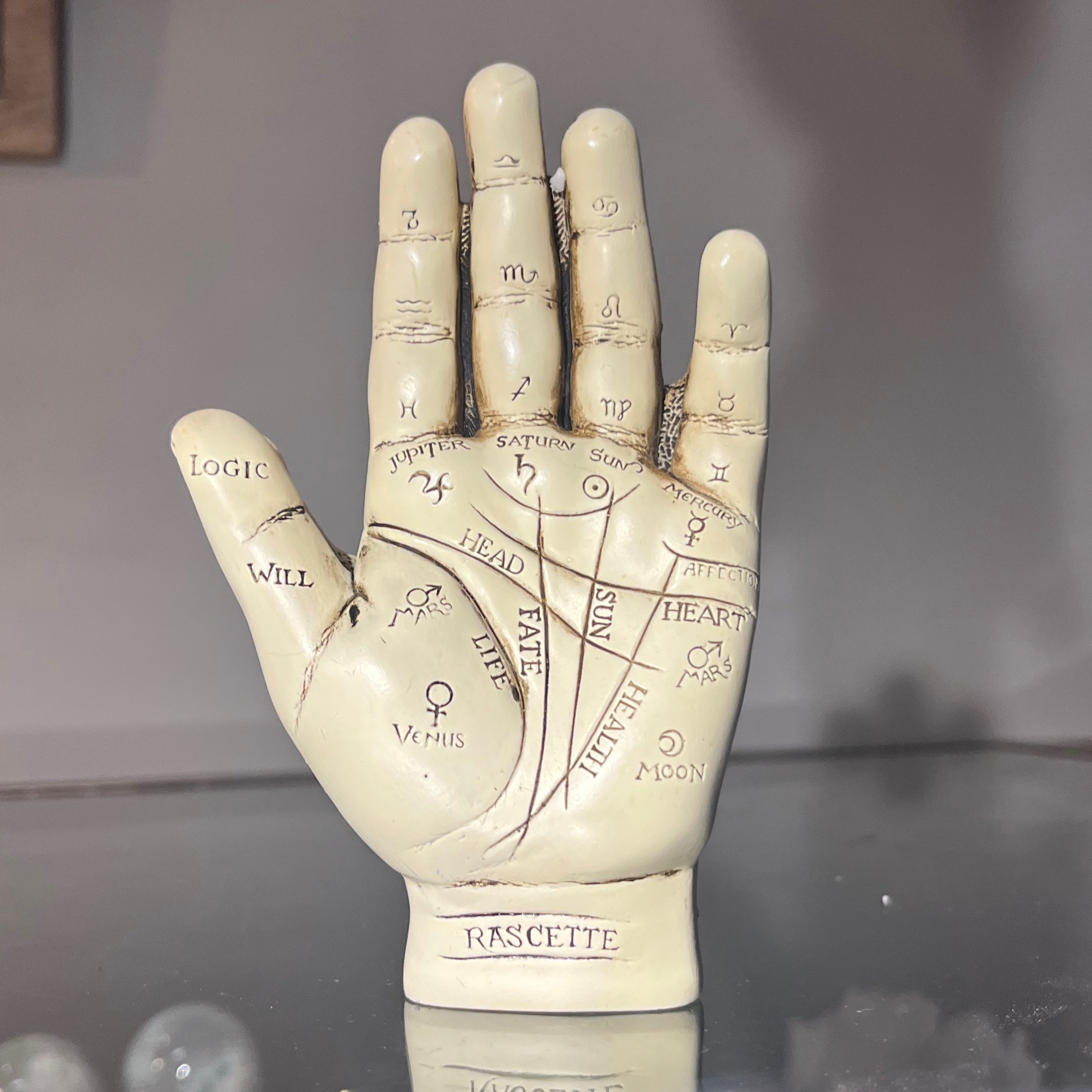 Palmistry Hand Broomstick Betty